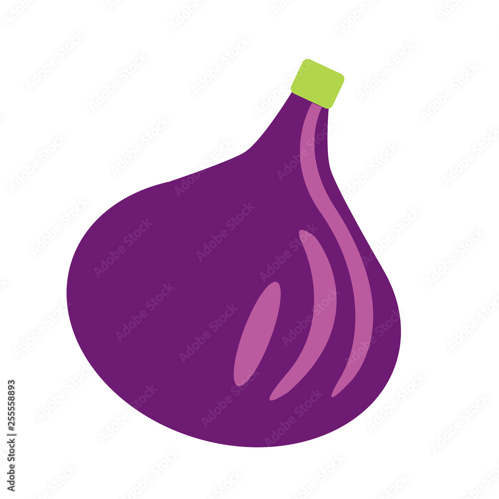 fig flat color art illustration fig flat color art illustration