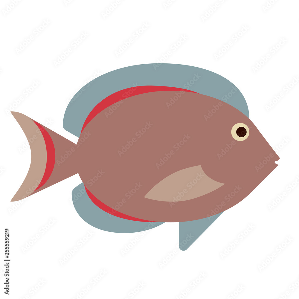 exotic fish flat color art illustration exotic fish flat color art illustration