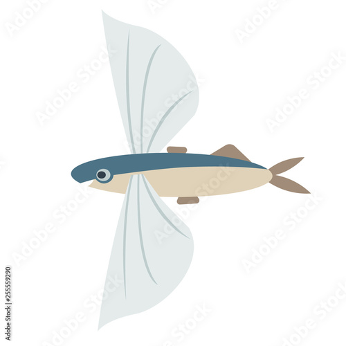 Fotografie, Obraz flying fish flat color art illustration