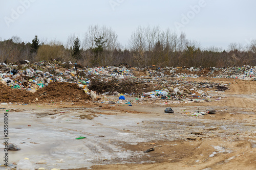 illegal landfill in the forest