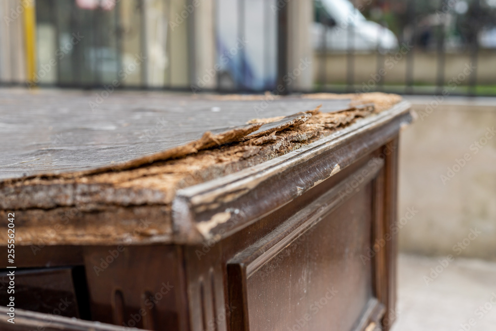 Crushed, church, broken wood table corner Stock Photo | Adobe Stock