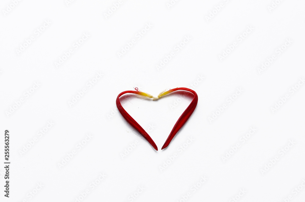 .Heart made of rose petals isolated on white background. Romance, copy space