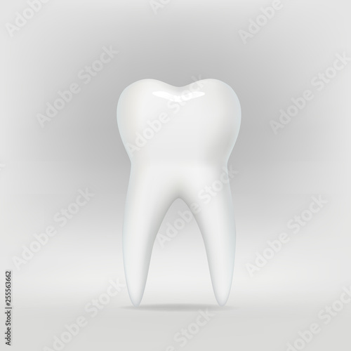 Dental illustration of a tooth  on a gray background. Vector