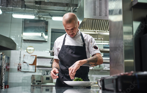 Concentrated at work. Portrait of handsome professional chef in black apron garnishing his dish on the plate while working in restaurant kitchen