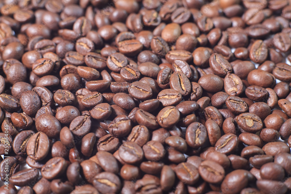 coffee beans texture coffee beans texture
