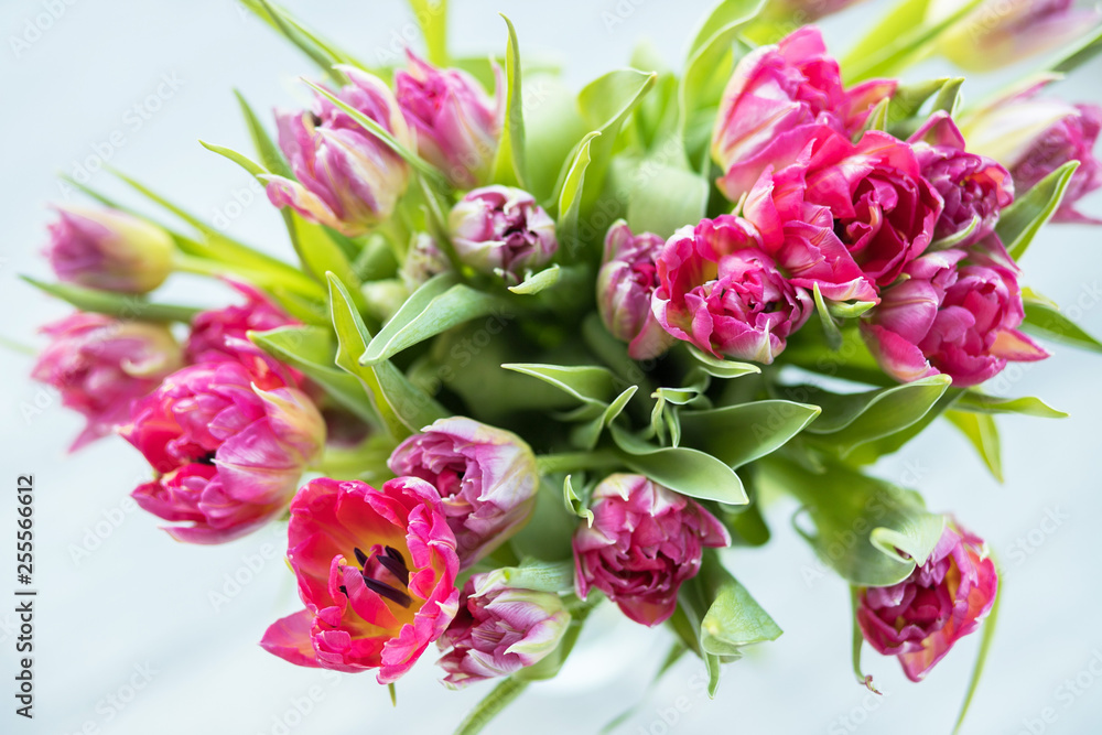 Spring flowers Spring flowers