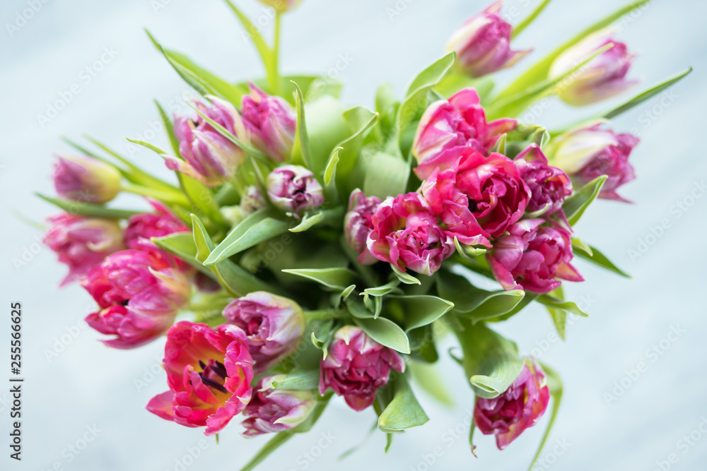 Bouquet of spring tulips Bouquet of spring tulips