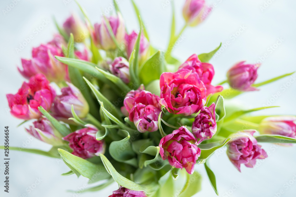 Spring flowers Spring flowers