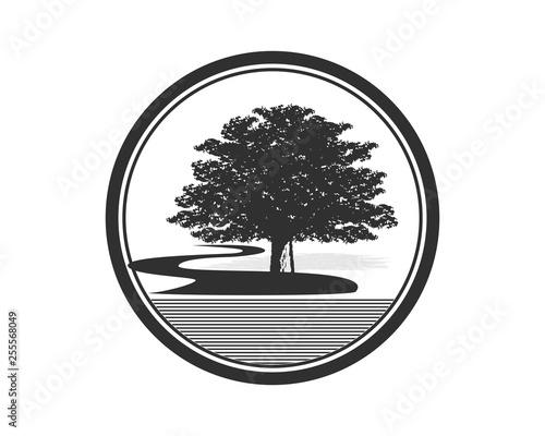 Oak tree river side
