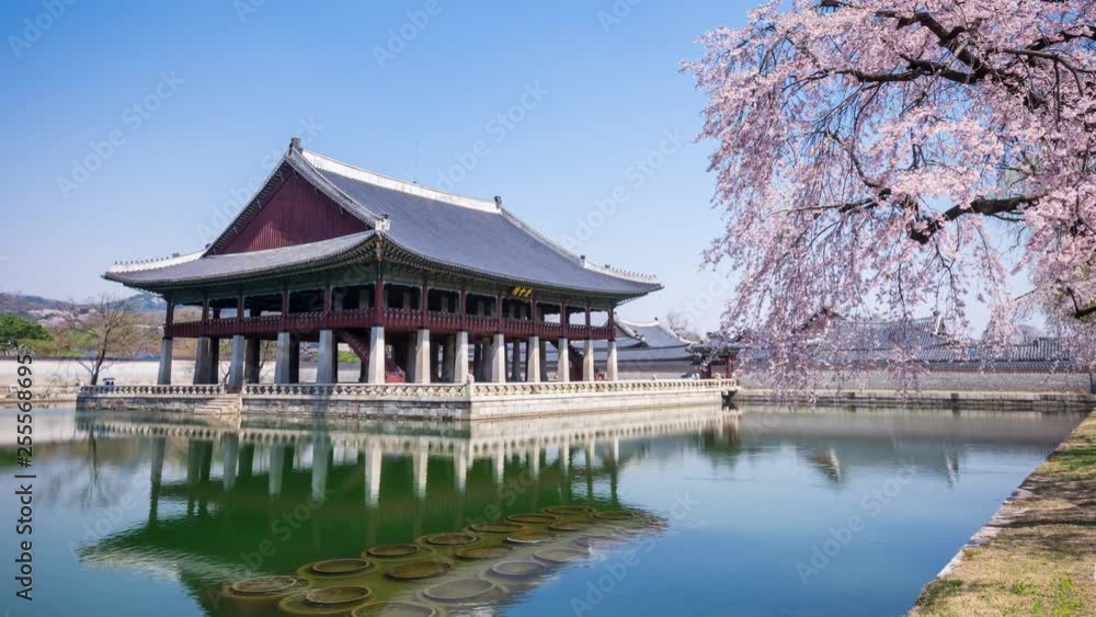 Time lapse of Gyeongbokgung palace in spring ( Sign board text is Time lapse of Gyeongbokgung palace in spring ( Sign board text is