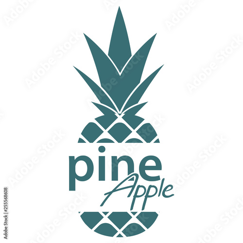 Pineapple. Label or Logo. Vector Illustration.