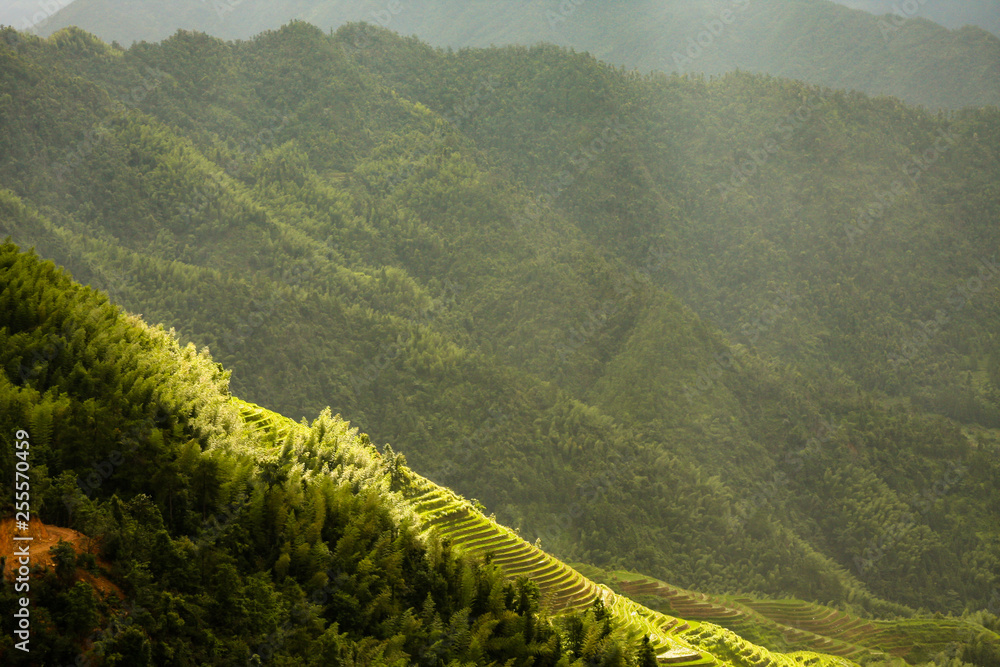 Longsheng rice terraces landscape in China