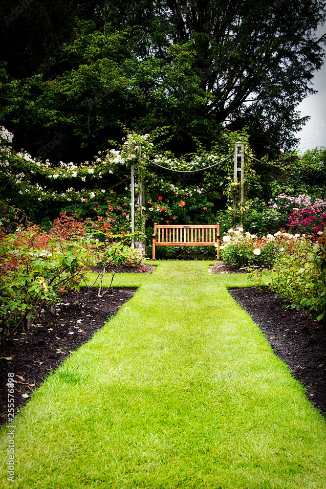 bench in the middle of a garden in Regent’s park in London England