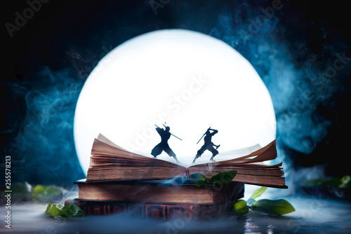 An open book with two ninja warrior silhouettes fighting in full Moon. Reader imagination and writing inspiration concept with copy space photo