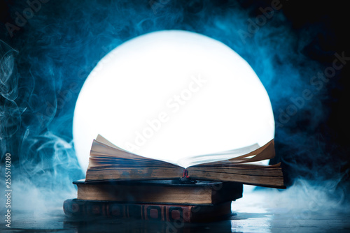 Quadro su tela An open book of spells in full Moon