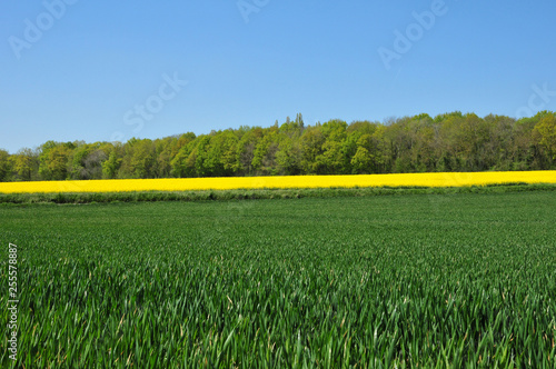 Jambville; France - may 4 2016 : picturesque landscape photo