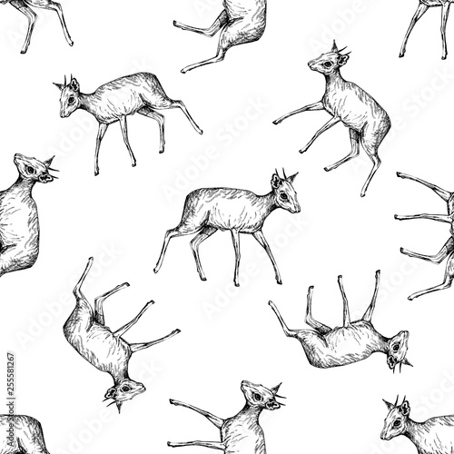 Seamless pattern of hand drawn sketch style dik-diks isolated on white background. Vector illustration.