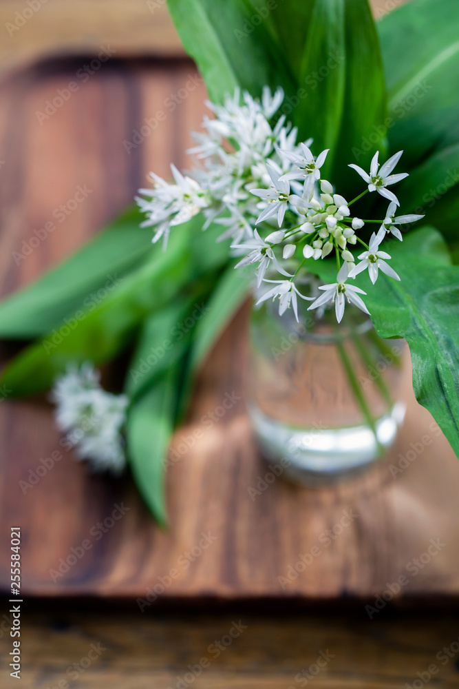 Wild garlic leaves and flowers