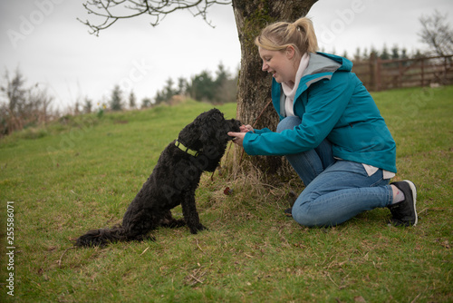 Woman training puppy outdoors 