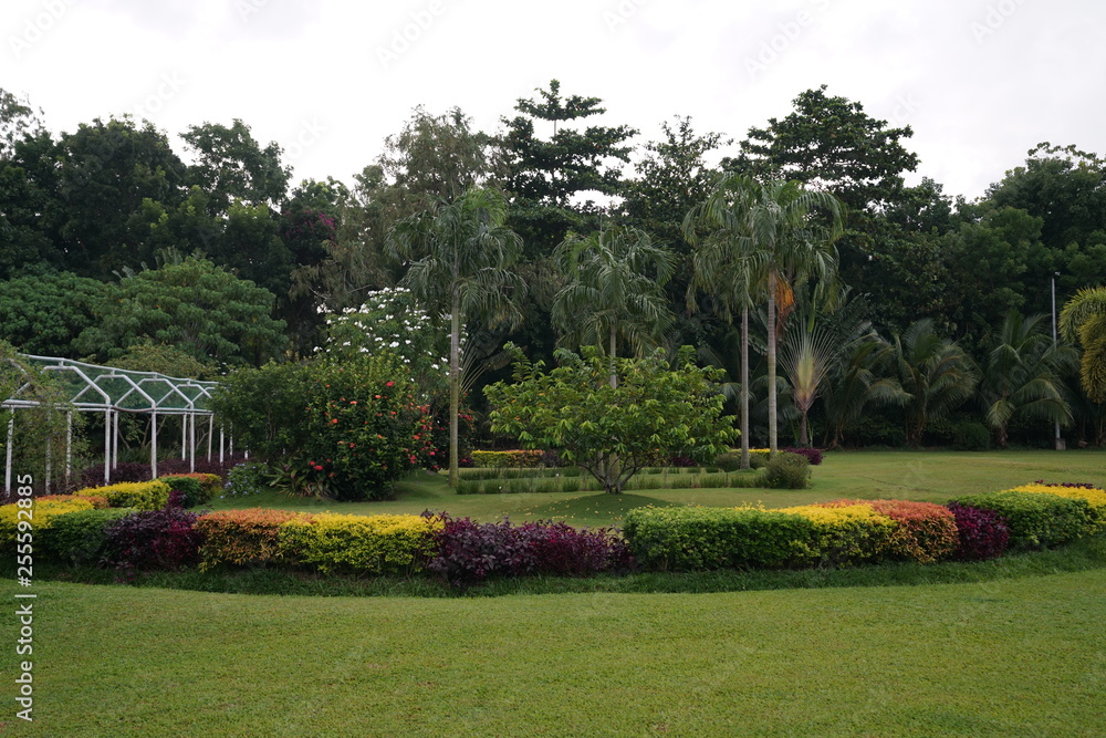 Obraz premium View of a park near Bacolod City, Philippines