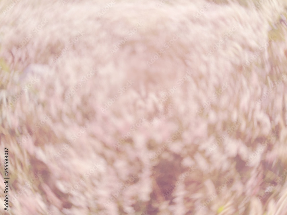 Fototapeta premium background