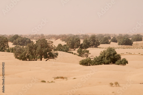Wüstenlandschaft in Marokko