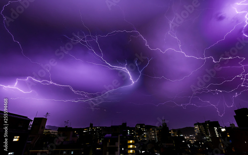 紫の雷