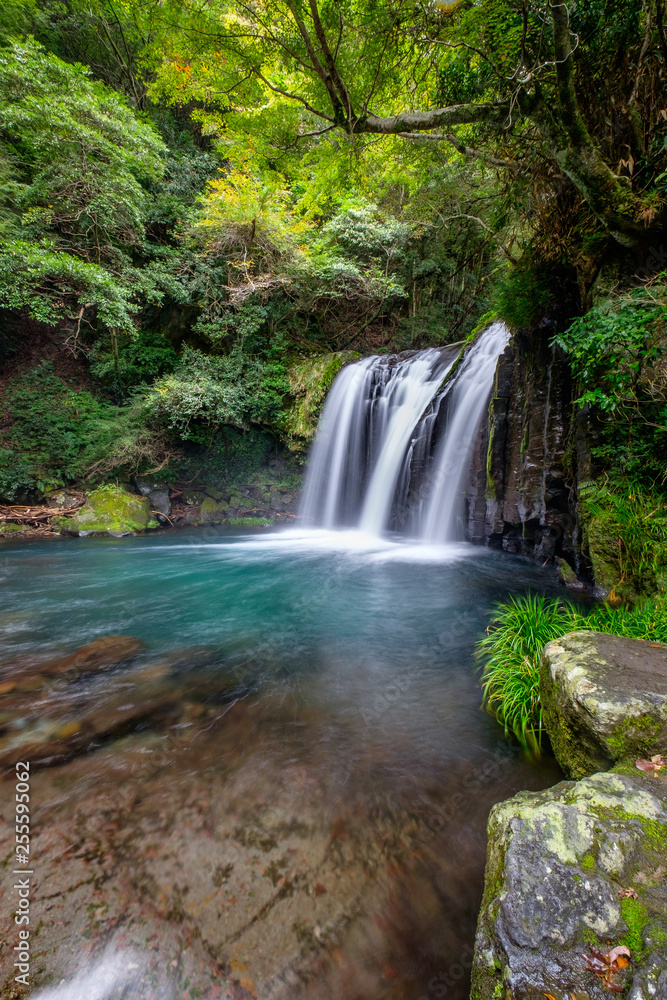 Fototapeta premium Waterfall in green forest, Japan, vertical