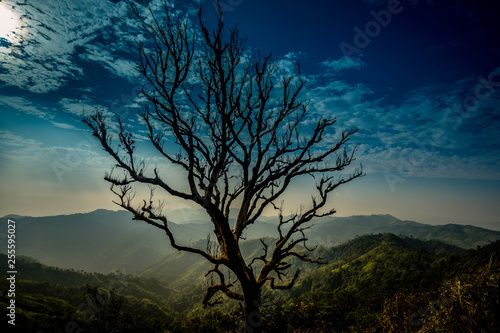 Khao Chang Phueak is a mountain with in Thong Pha Phum National Park in Kanchanaburi, Thailand.It is a place to relax and camping everyone.