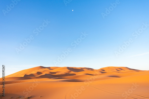 Sand Dunes in the Sahara Desert during the Morning with the Moon in the Sky