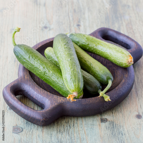 Young fresh green cucumbers on a round wooden plate on the old table. Selective focus.