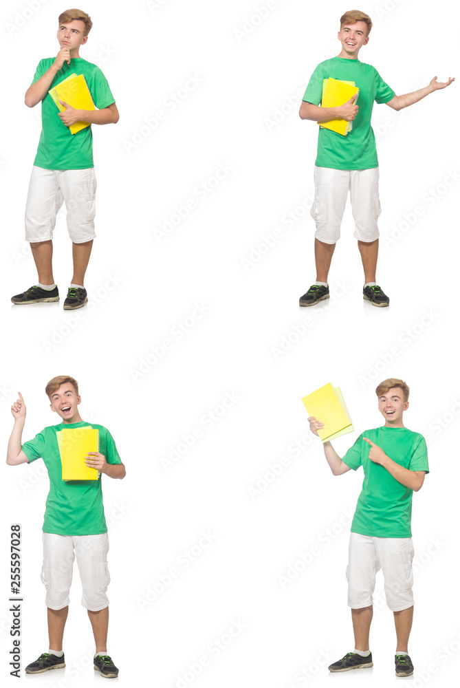 Fototapeta premium Young student with notes isolated on white 