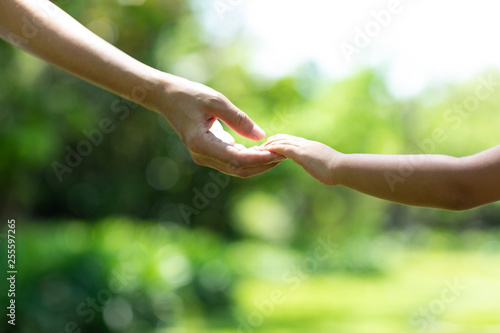 Mother's and child hold hands. Happy in the garden. Mother's love in the hand, on the palm © kowitstockphoto
