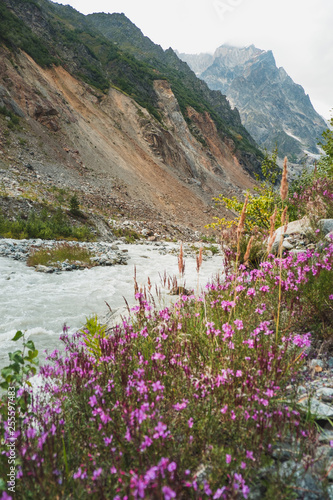 amazing view of mountains and pink wildflowers growing near stream