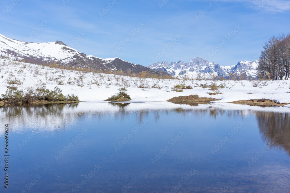 Fototapeta premium Incredible view of a snowy mountain in Picos de Europa, Leon (Spain), reflected on a lake.