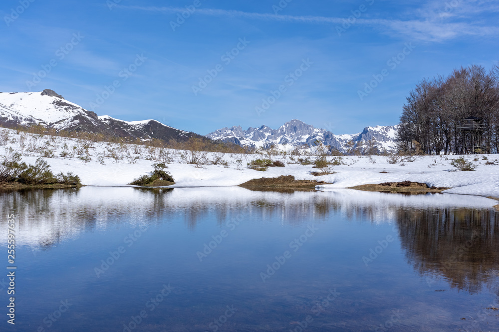 Incredible view of a snowy mountain in Picos de Europa, Leon (Spain), reflected on a lake.