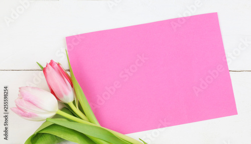 tag vuoto e fiori dei tulipani rosa