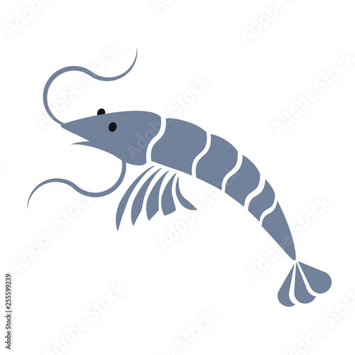 shrimp simple art geometric illustration