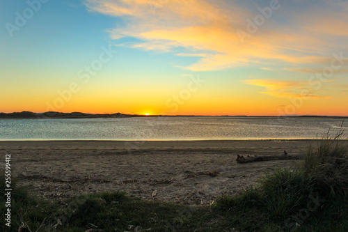 beautiful sunset at the beach in Fortrose  The Catlins  South Island  New Zealand