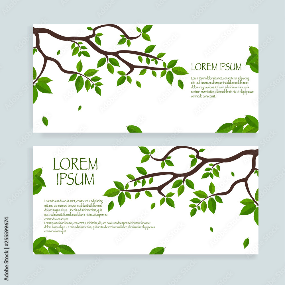 Greeting cards vector template with tree leaf. Vector Illustration EPS 10.