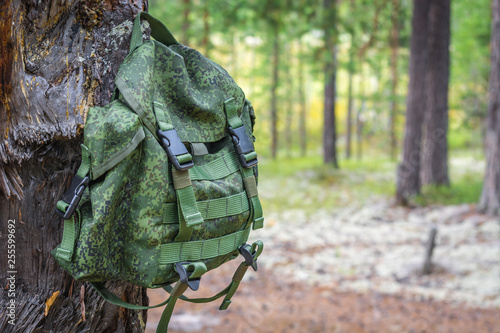 Green backpack for rest hangs on handle on charred burnt wood against background of dry forest in summer.