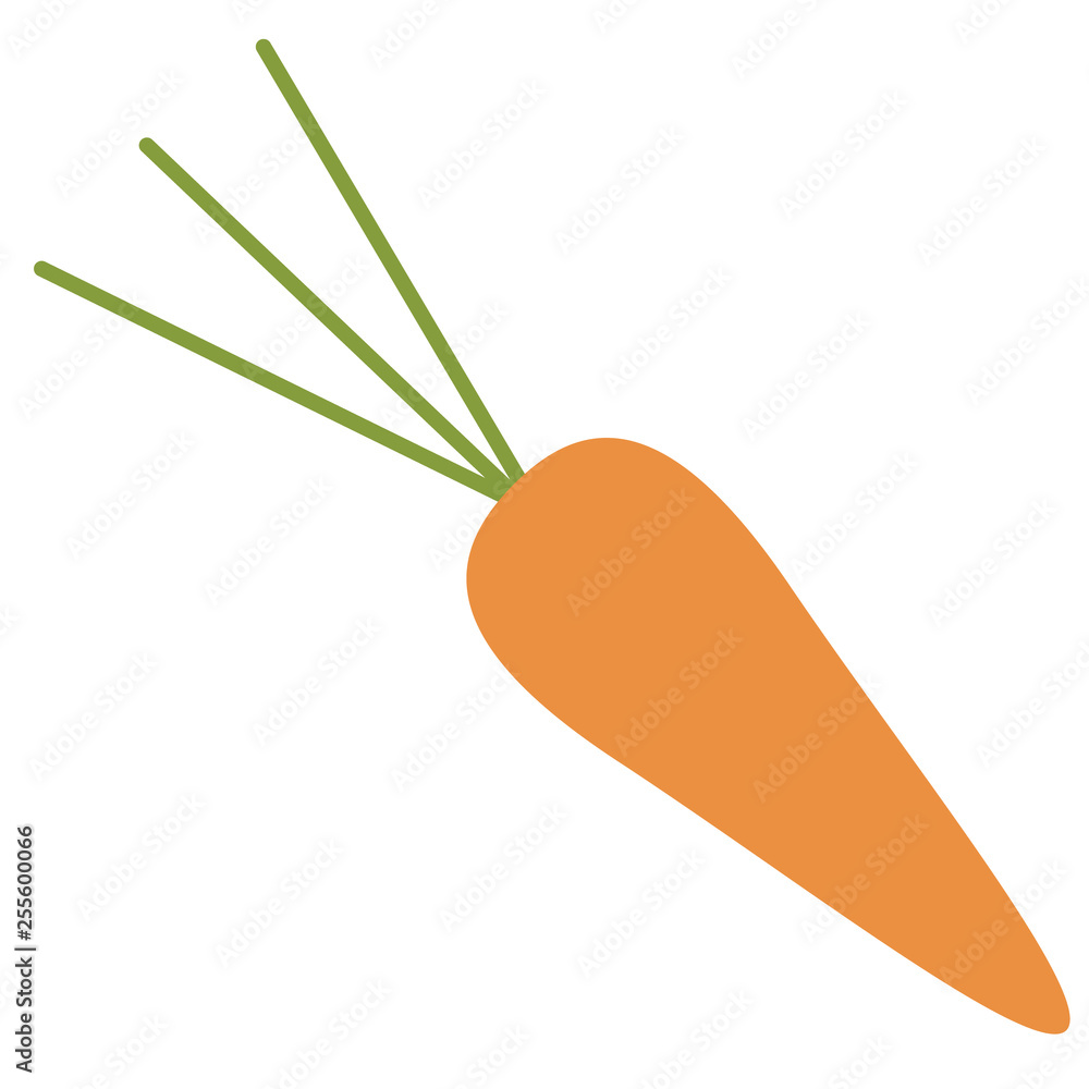 carrot color simple illustration carrot color simple illustration