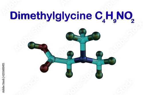 Structural chemical formula and model of dimethylglycine, vitamin B16. Healthy life concept. Medical background. Scientific background. 3d illustration photo