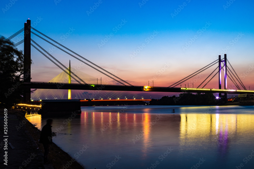 Bridges on the Sava river in Belgrade