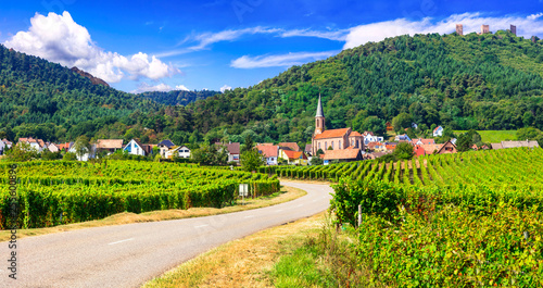 Alsace region of France - famous "Vine route" . beautiful vineyards and traditional vilage Husseren les chateaux