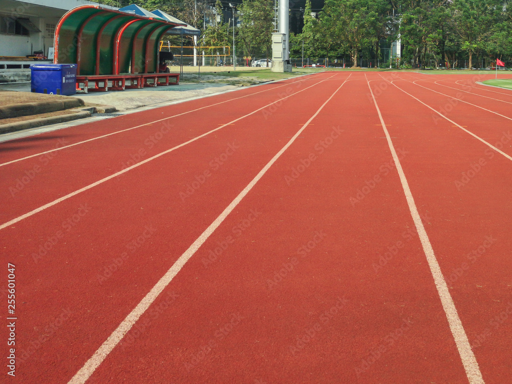Race track inside a stadium.