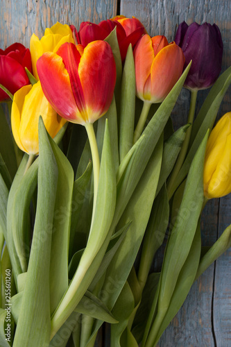 a bouquet of colored beautiful tulips on a wooden background