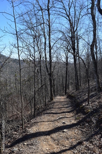 Hiking Trail in Ouachita Mountains of Arkansas