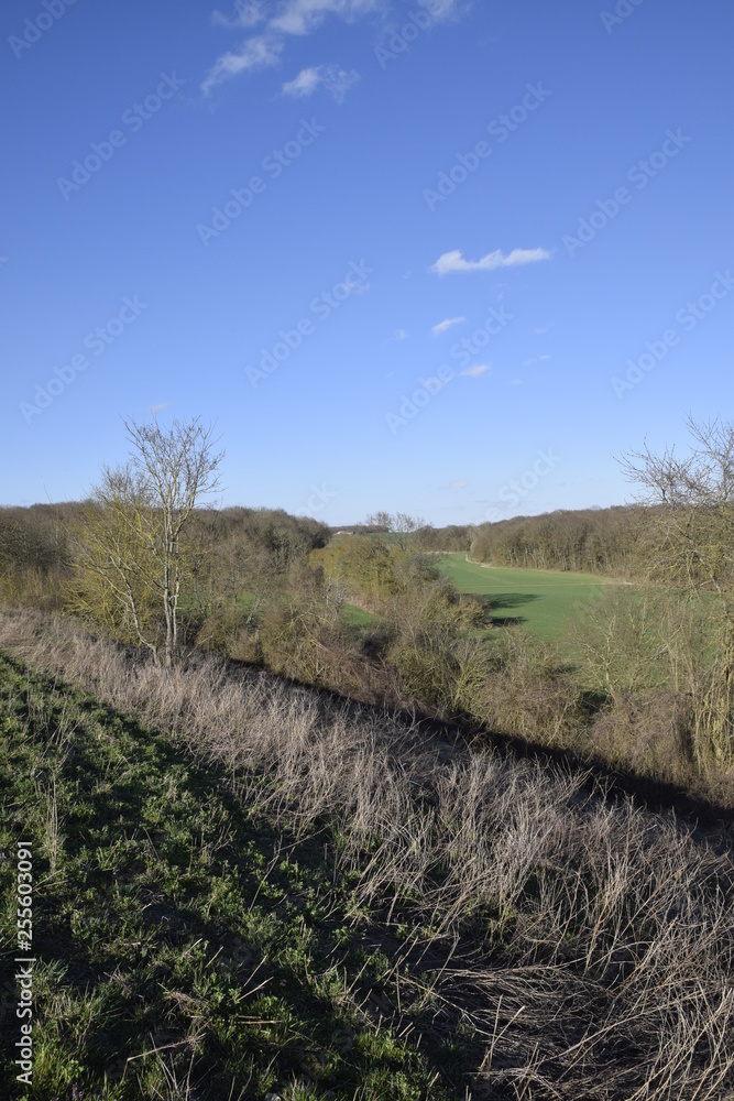 Obraz premium nature