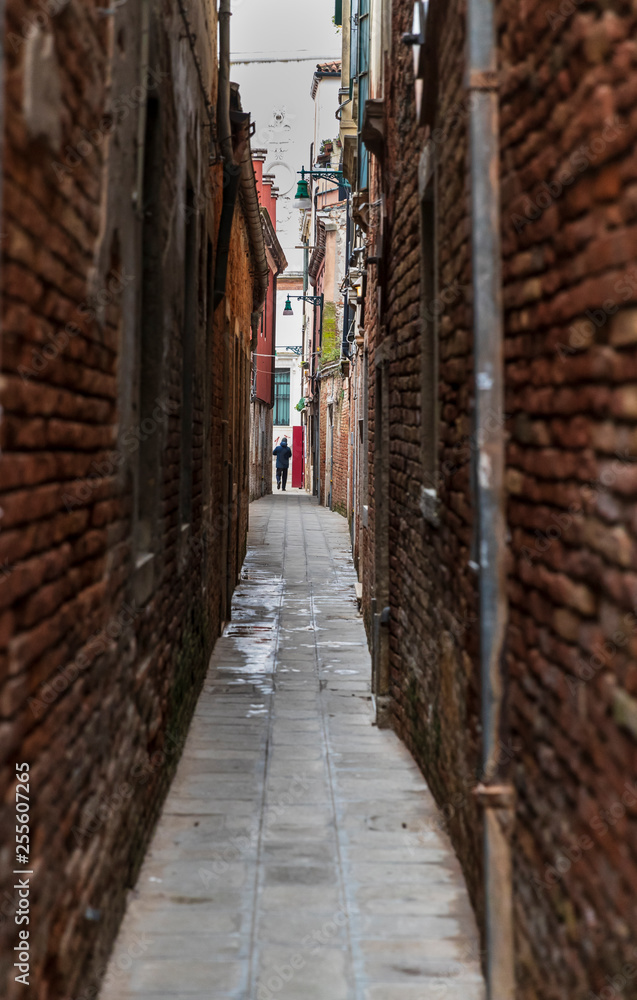 Fototapeta premium Venice